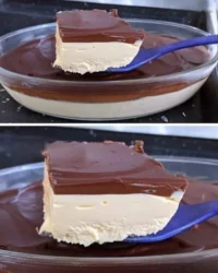 Creamy passion fruit dessert with chocolate ganache topping